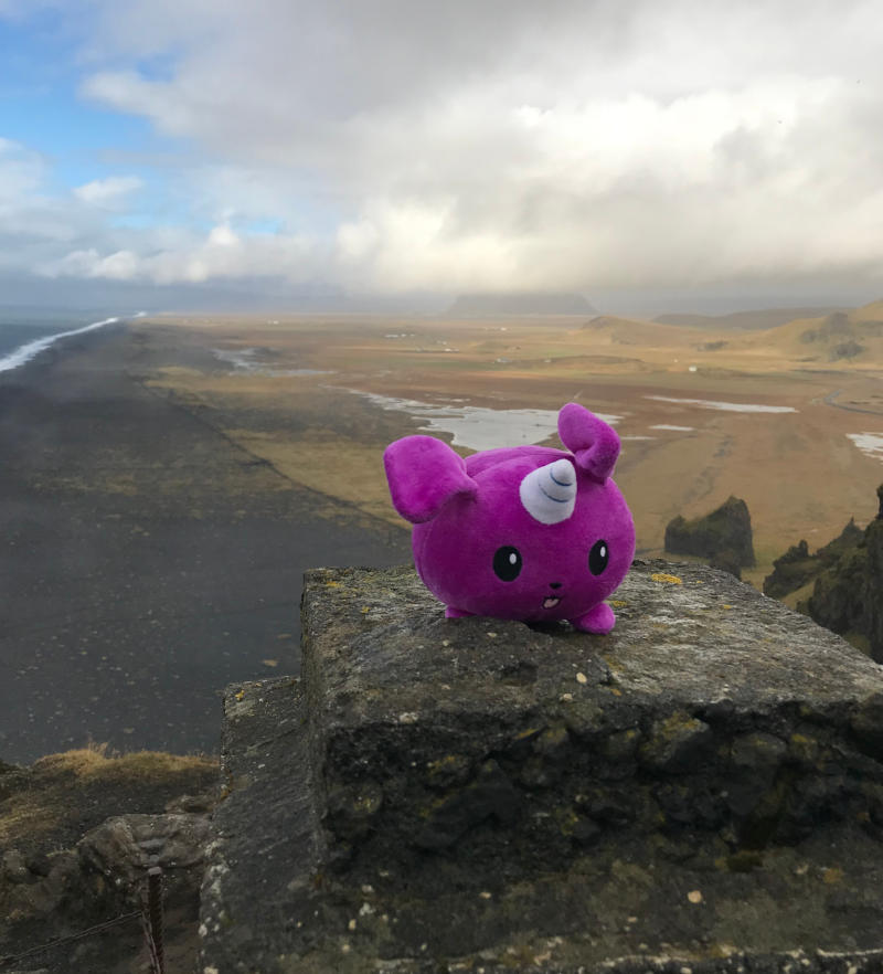 puppycorn trying to fly