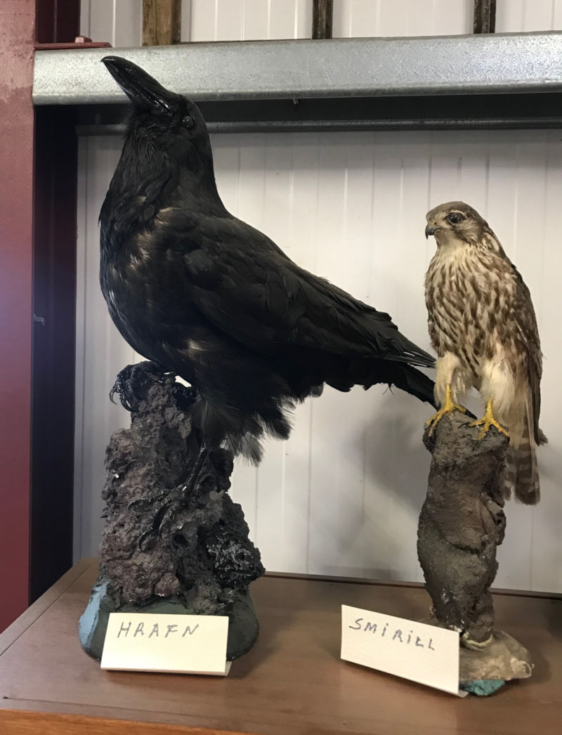 Everyone’s got that show-off friend