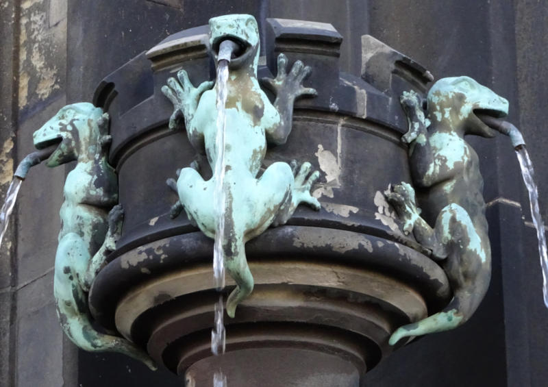 Cholera fountain lizards