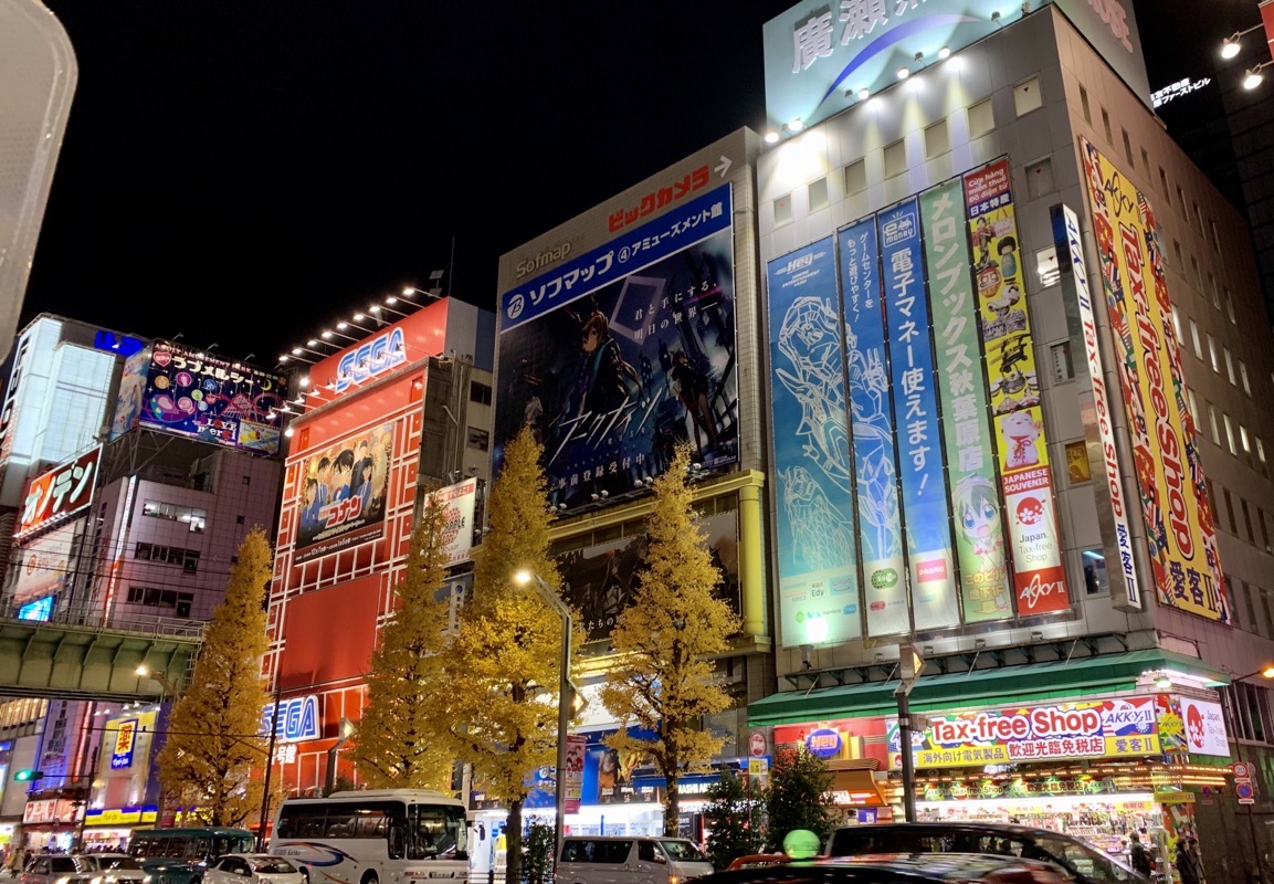 Akihibara Street
