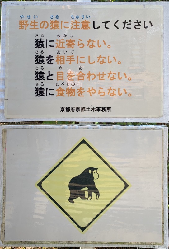 arayashima bad monkey