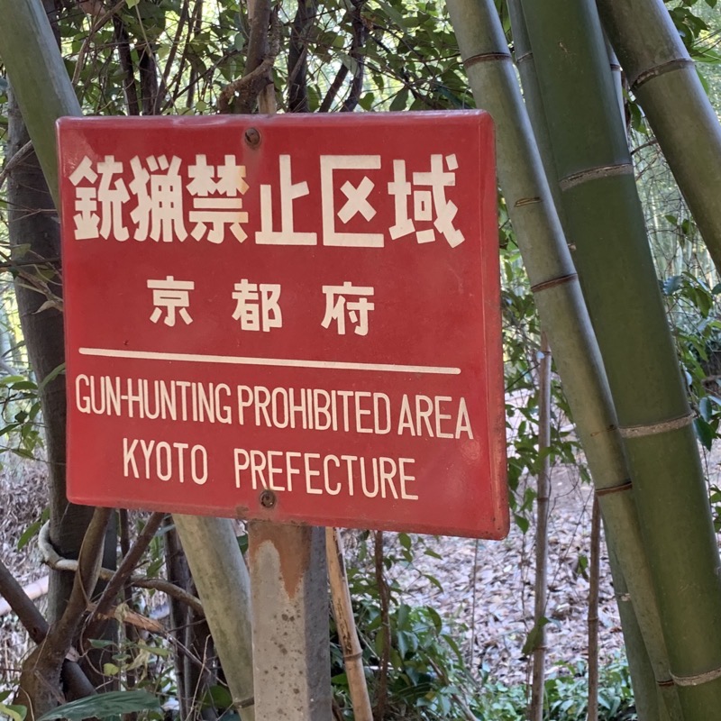 hunt animals not guns