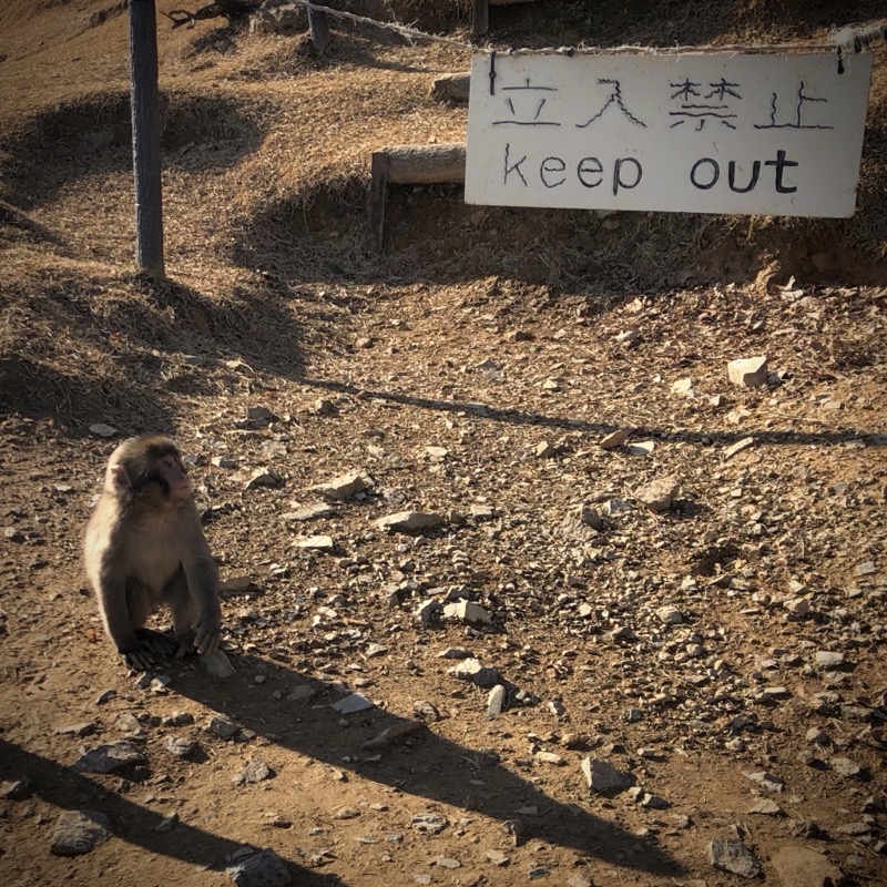 macaque keep out 2