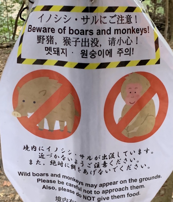 fushimi inari boars and monkeys