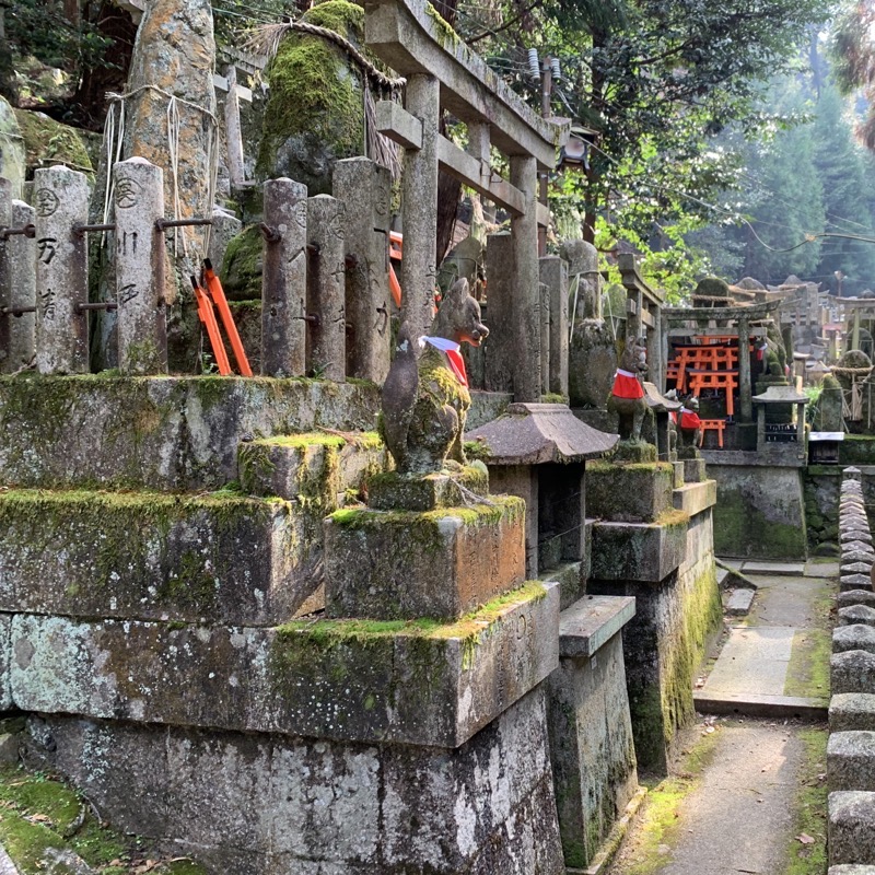 fushimi inari mossy kitsune 2