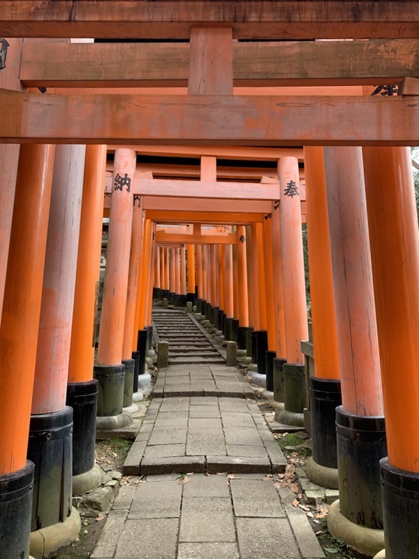 fushimi inari torii 1