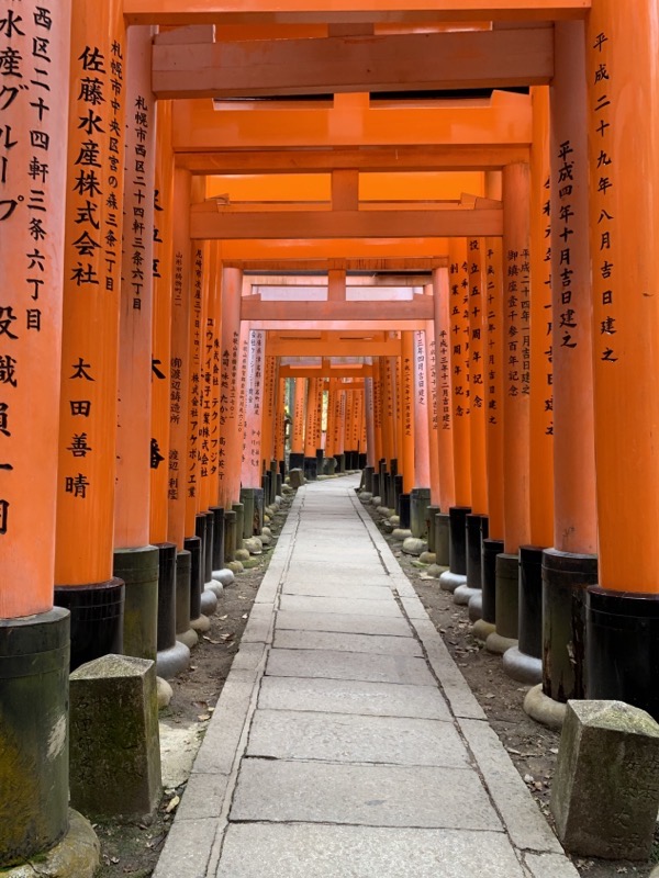 fushimi inari torii 3