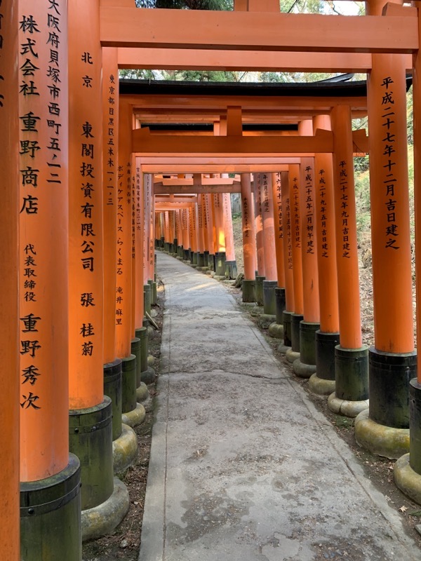 fushimi inari torii 4