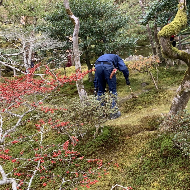ginkaku-ji garden ninja