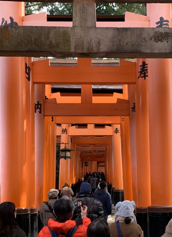 torii gate crowds