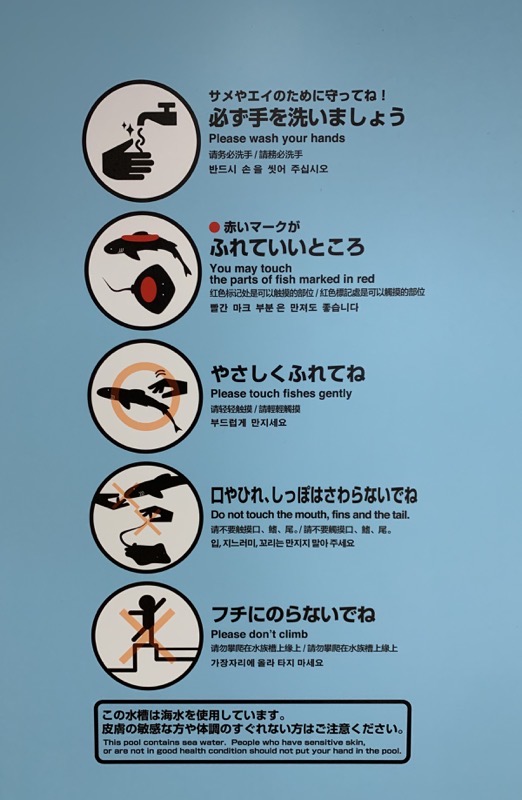 aquarium petting rules