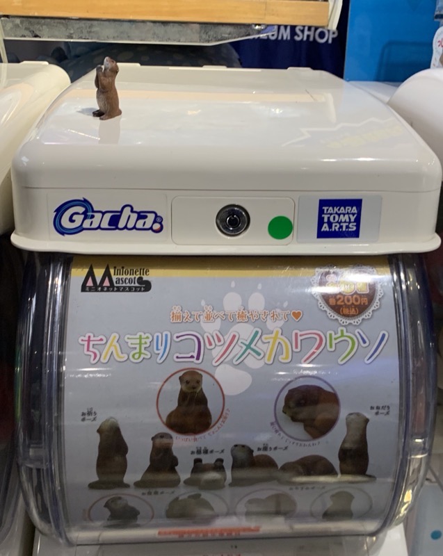 osaka aquarium otter gacha