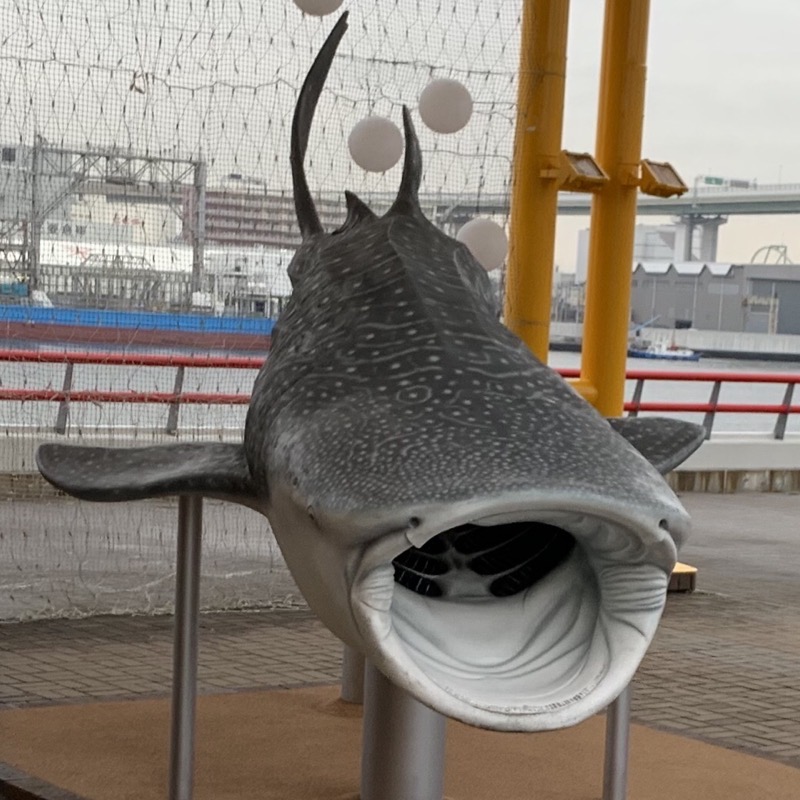 osaka aquarium shark photo op
