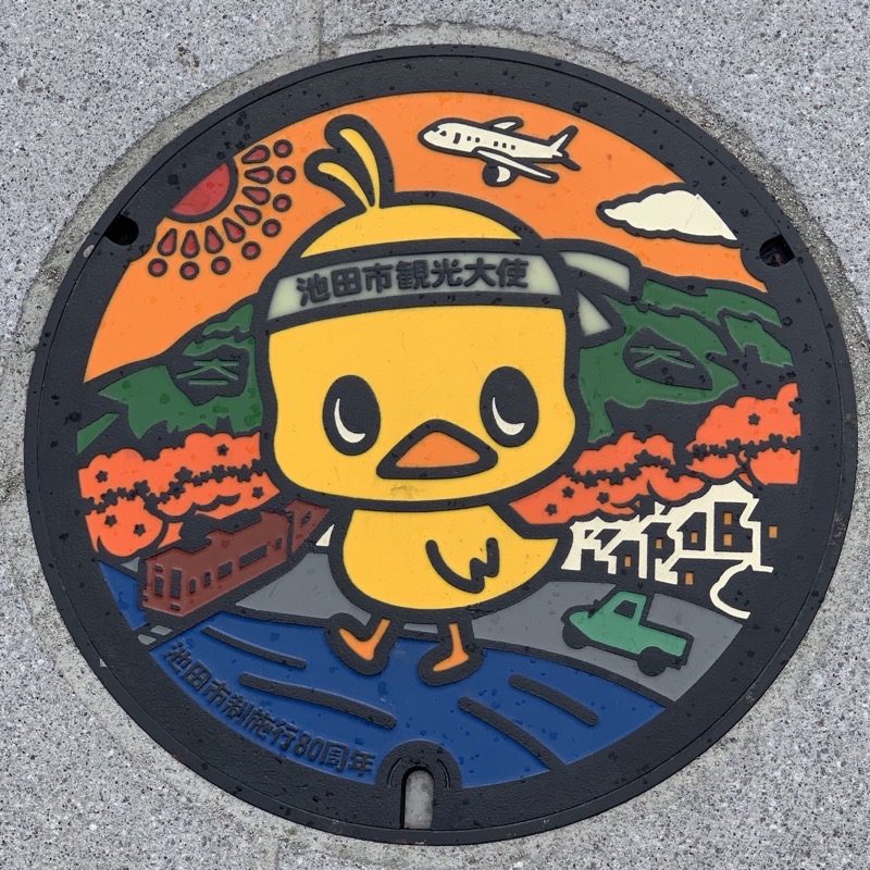 ikeda manhole cover 3