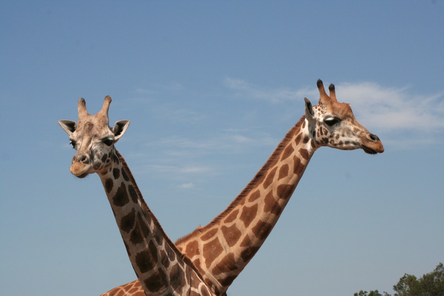 Don’t cross the streams, man!