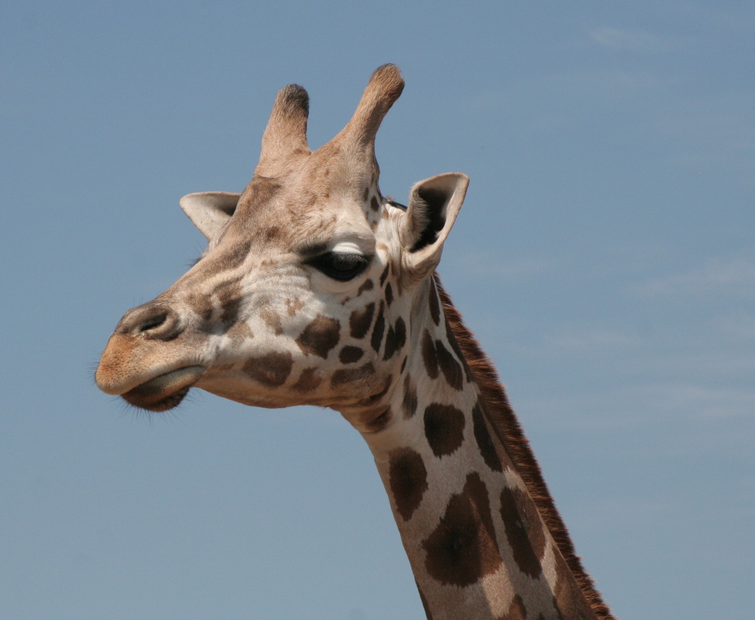 Is this my good side?