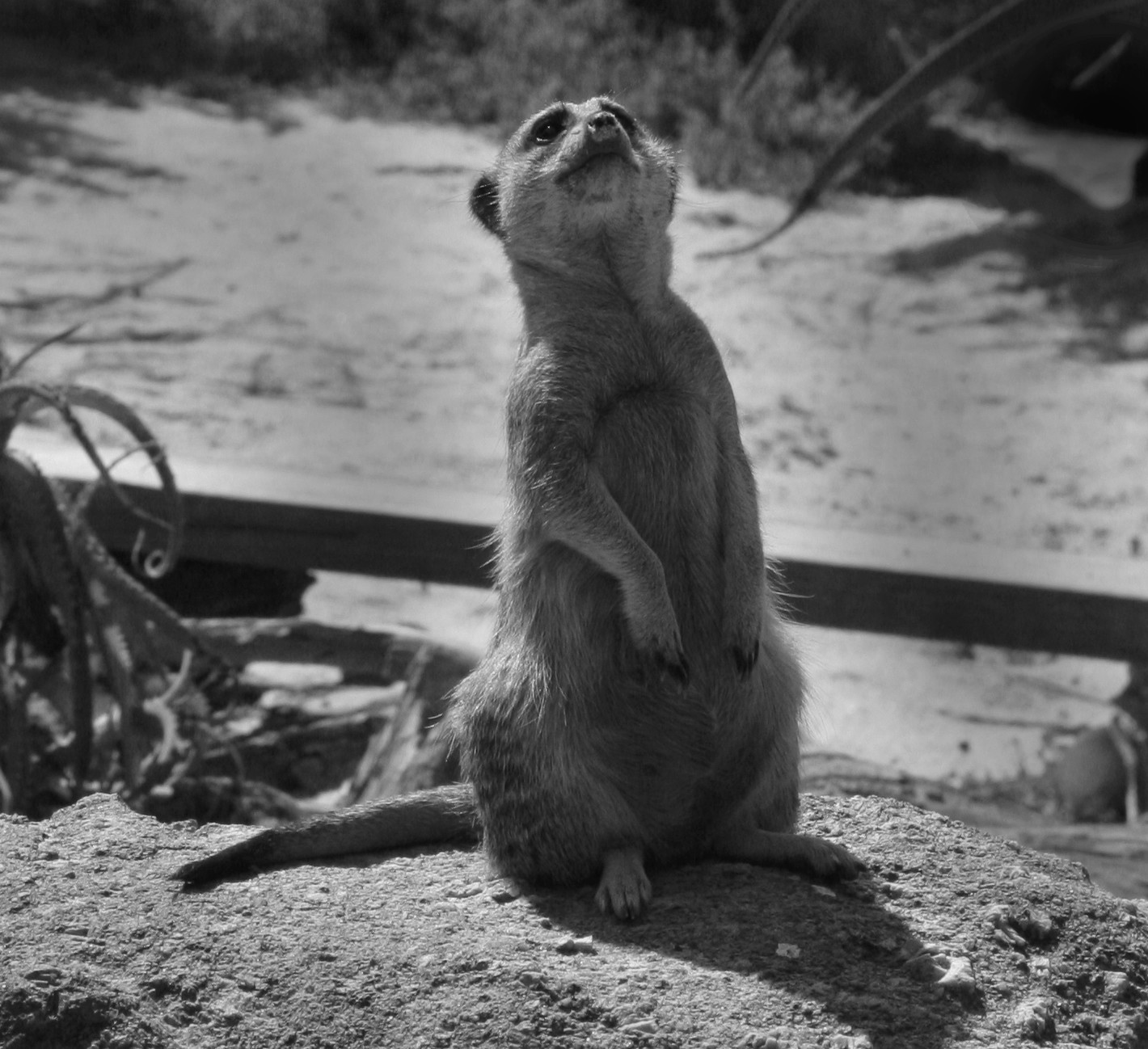 I’m sure I saw something…